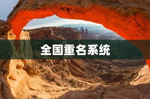 全国重名系统:保障个人权益的利器 全国重名系统:保障个人权益的利器