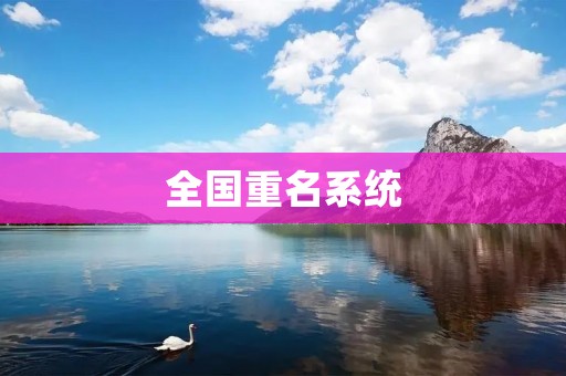 全国重名系统:解决重名难题的利器 全国重名系统:解决重名难题的利器