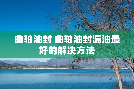 曲轴油封 曲轴油封漏油最好的解决方法 曲轴油封 曲轴油封漏油最好的解决方法