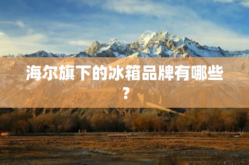 海尔旗下的冰箱品牌有哪些？