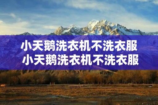 小天鹅洗衣机不洗衣服 小天鹅洗衣机不洗衣服直接排水