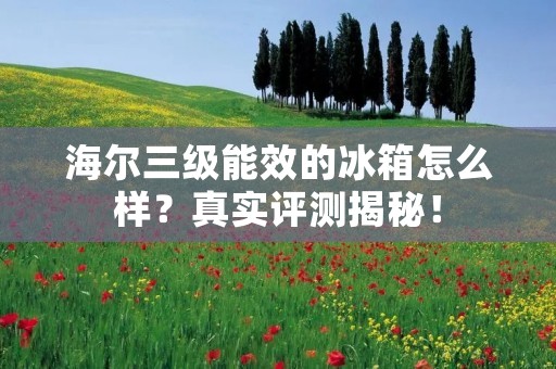 海尔三级能效的冰箱怎么样?真实评测揭秘! 海尔三级能效的冰箱怎么样?真实评测揭秘!