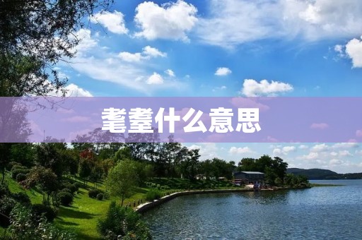 耄耋什么意思