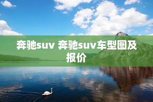 奔驰suv 奔驰suv车型图及报价