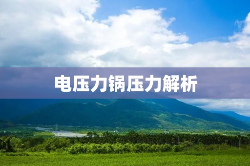 电压力锅压力解析:提高烹饪效率,锁住食材鲜美 电压力锅压力解析:提高烹饪效率,锁住食材鲜美