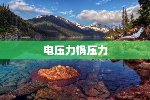 电压力锅压力：一种现代化烹饪利器
