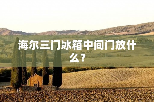 海尔三门冰箱中间门放什么? 海尔三门冰箱中间门放什么?