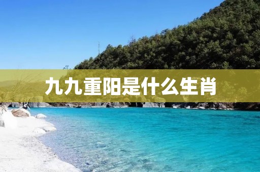 九九重阳是什么生肖