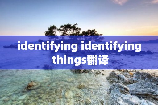 identifying identifying things翻译