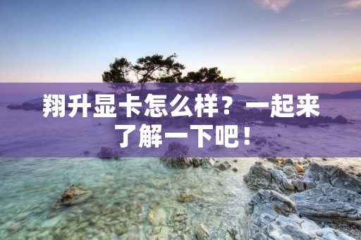 翔升显卡怎么样?一起来了解一下吧! 翔升显卡怎么样?一起来了解一下吧!
