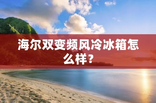 海尔双变频风冷冰箱怎么样？