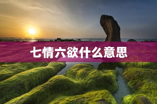 七情六欲什么意思 七情六欲什么意思