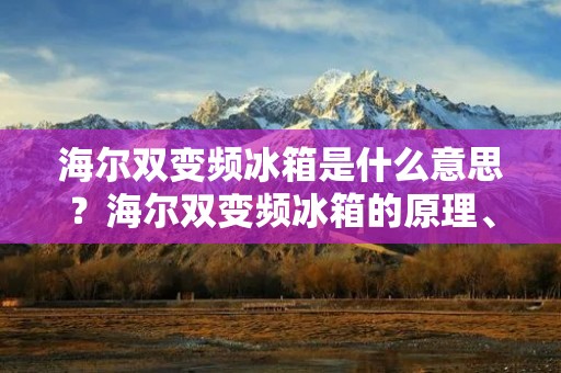海尔双变频冰箱是什么意思？海尔双变频冰箱的原理、特点和优势