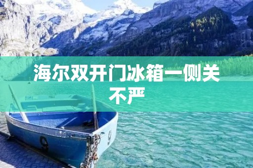 海尔**门冰箱一侧关不严：如何解决这一问题