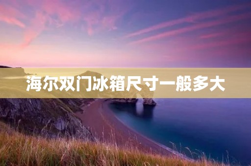 海尔双门冰箱尺寸一般多大