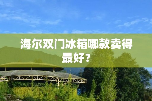 海尔双门冰箱哪款卖得最好？