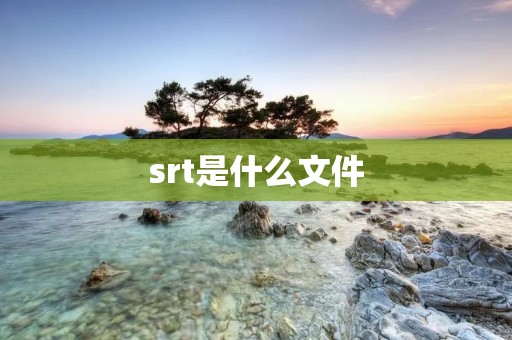 srt是什么文件