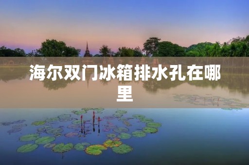 海尔双门冰箱排水孔在哪里