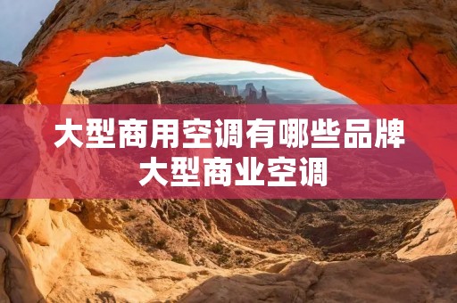 大型商用空调有哪些品牌 大型商业空调