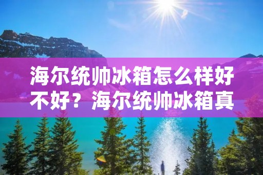 海尔统帅冰箱怎么样好不好？海尔统帅冰箱真的好吗？