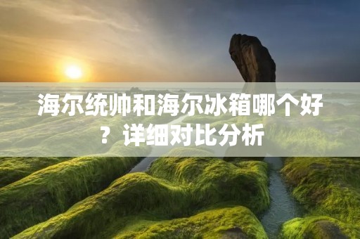 海尔统帅和海尔冰箱哪个好？详细对比分析