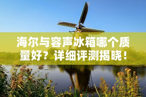 海尔与容声冰箱哪个质量好？详细评测揭晓！