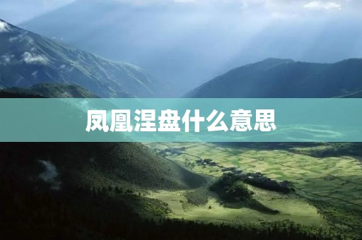 凤凰涅盘什么意思