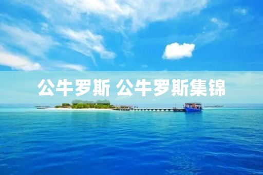 公牛罗斯 公牛罗斯集锦