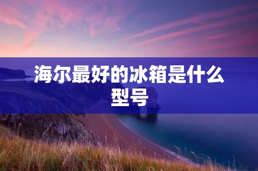 海尔最好的冰箱是什么型号 海尔最好的冰箱是什么型号