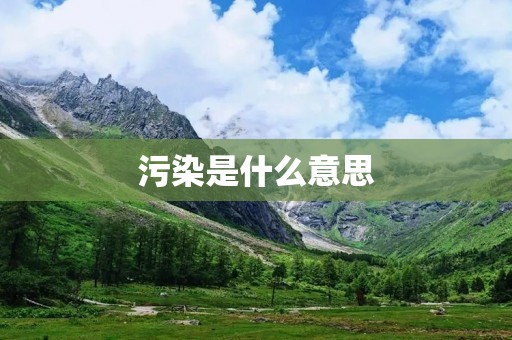 污染是什么意思
