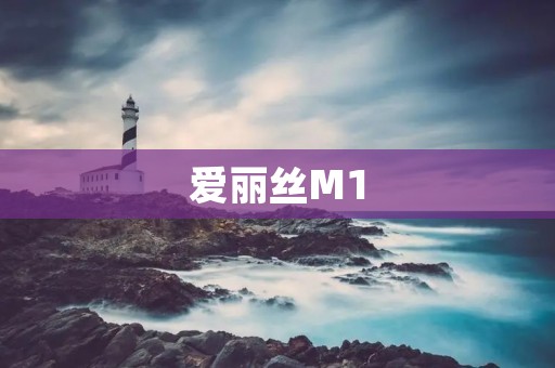 爱丽丝M1：颠覆手机行业的新力量