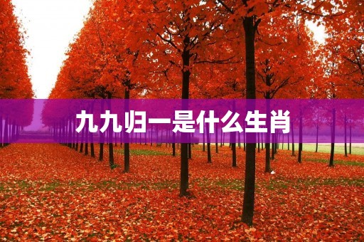 九九归一是什么生肖