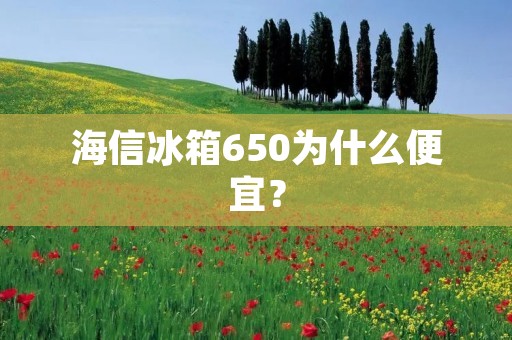 海信冰箱650为什么便宜? 海信冰箱650为什么便宜?