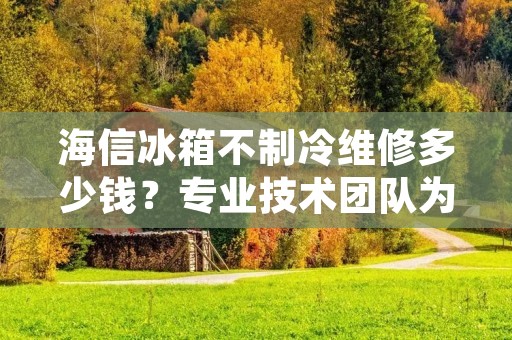 海信冰箱不制冷维修多少钱?专业技术团队为您解答 海信冰箱不制冷维修多少钱?专业技术团队为您解答