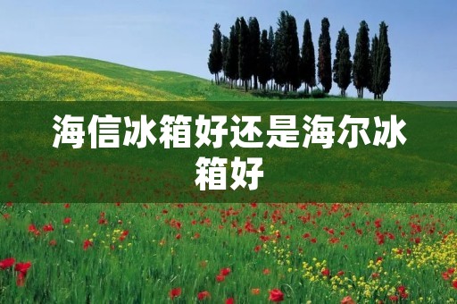 海信冰箱好还是海尔冰箱好:详细对比评析 海信冰箱好还是海尔冰箱好:详细对比评析