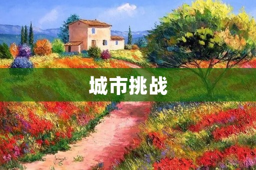 城市挑战：如何应对人口快速增长带来的问题