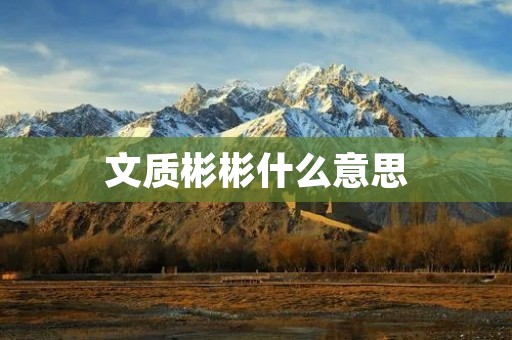 文质彬彬什么意思