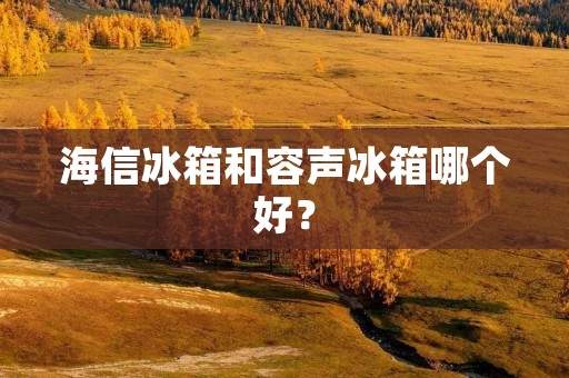 海信冰箱和容声冰箱哪个好? 海信冰箱和容声冰箱哪个好?