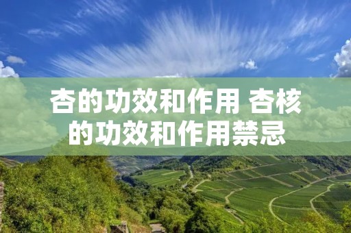 杏的功效和作用 杏核的功效和作用禁忌
