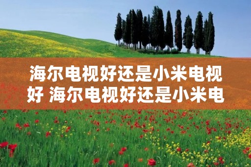 海尔电视好还是小米电视好 海尔电视好还是小米电视好啊 海尔电视好还是小米电视好 海尔电视好还是小米电视好啊
