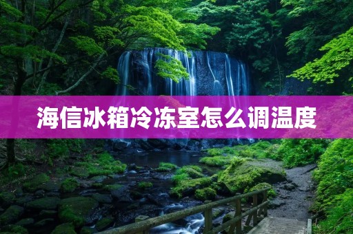 海信冰箱冷冻室怎么调温度 海信冰箱冷冻室怎么调温度