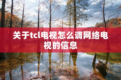 关于tcl电视怎么调网络电视的信息