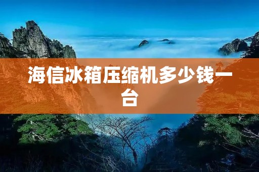 海信冰箱压缩机多少钱一台 海信冰箱压缩机多少钱一台