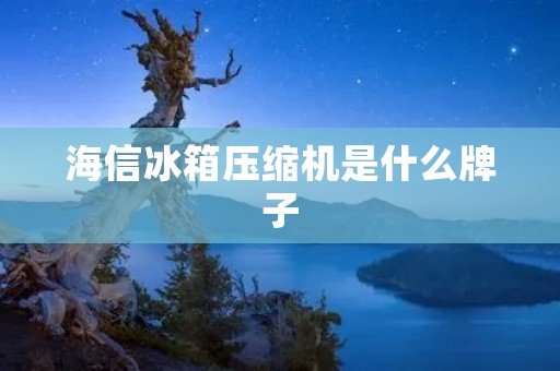海信冰箱压缩机是什么牌子