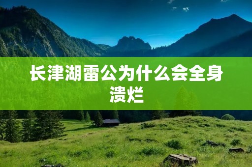 长津湖雷公为什么会全身溃烂