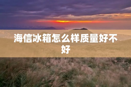 海信冰箱怎么样质量好不好：全面解析