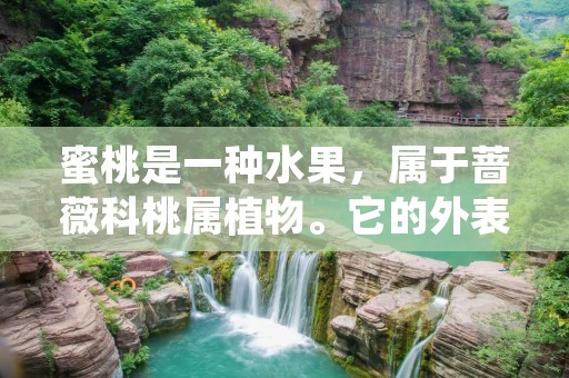 蜜桃是一种水果，属于蔷薇科桃属植物。它的外表呈圆形或椭圆形，表面覆盖着细绒毛，颜色多为粉红或黄色。蜜桃的果肉鲜嫩多汁，甜美可口，具有独特的香气。它是夏季常见的水果之一，深受人们喜爱。