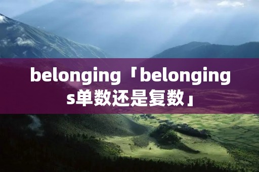 belonging「belongings单数还是复数」