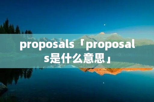 proposals「proposals是什么意思」