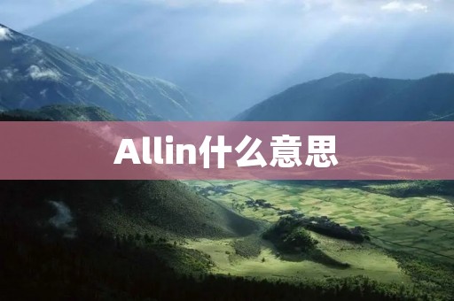 Allin什么意思